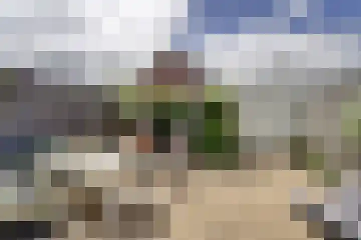 Haringkade 43 Katwijk thumbnail 36