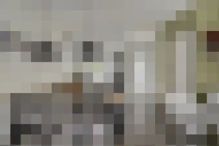 Haringkade 43 Katwijk thumbnail 9