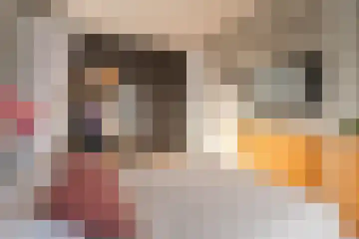 Haringkade 47 Katwijk thumbnail 24