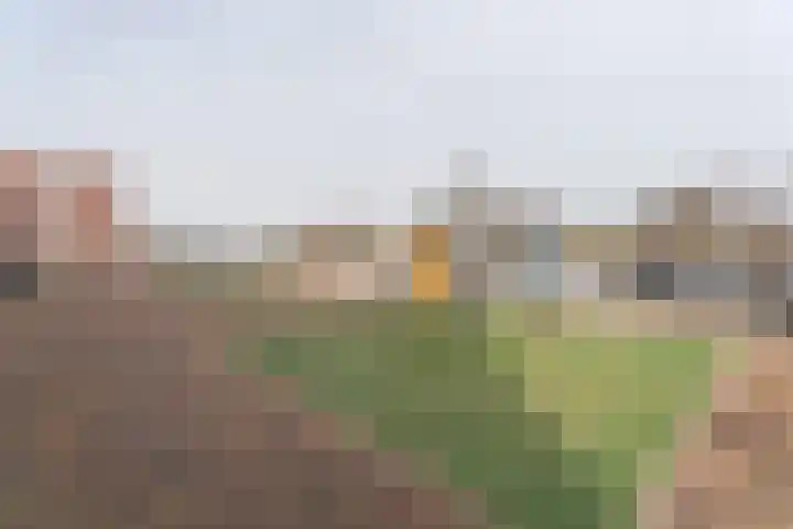 Haringkade 47 Katwijk thumbnail 34