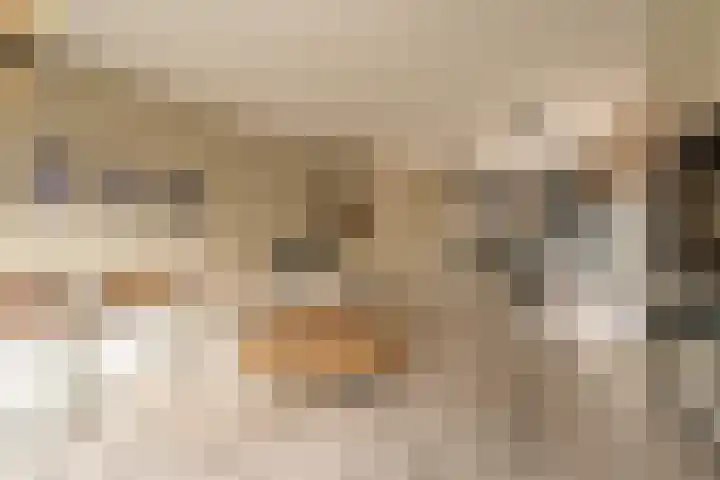 Haringkade 47 Katwijk thumbnail 5