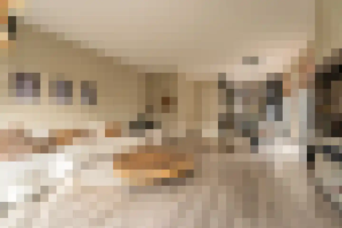 Haringkade 47 Katwijk thumbnail 5