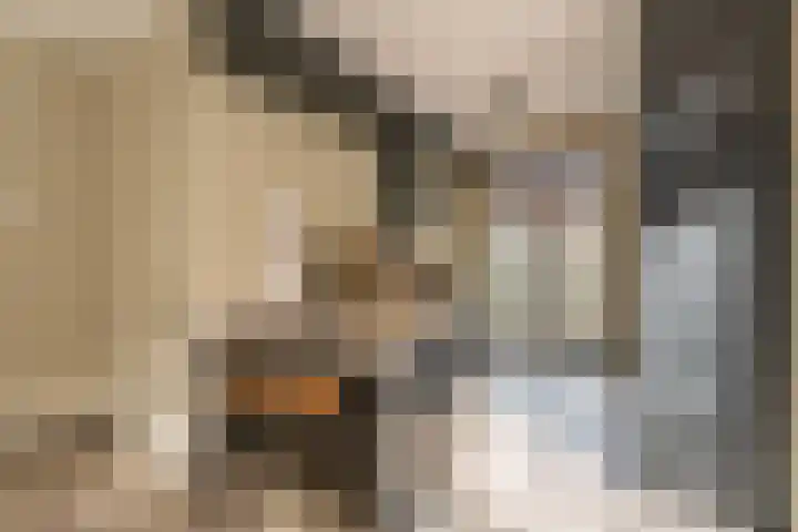 Haringkade 47 Katwijk thumbnail 7