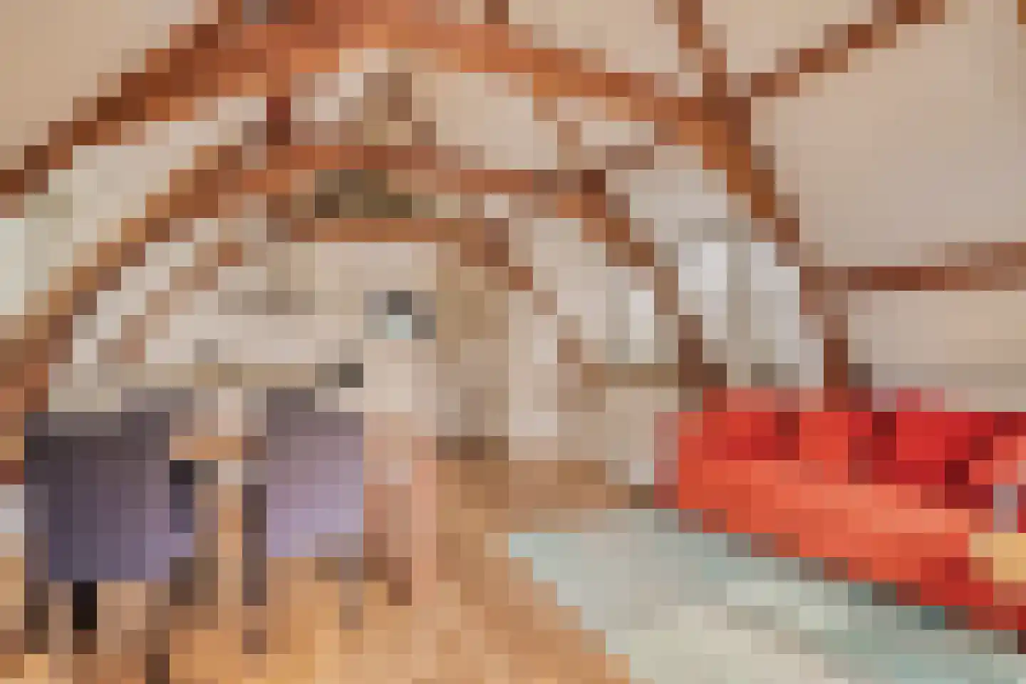 Haringpakkerssteeg 5 M Amsterdam thumbnail 11