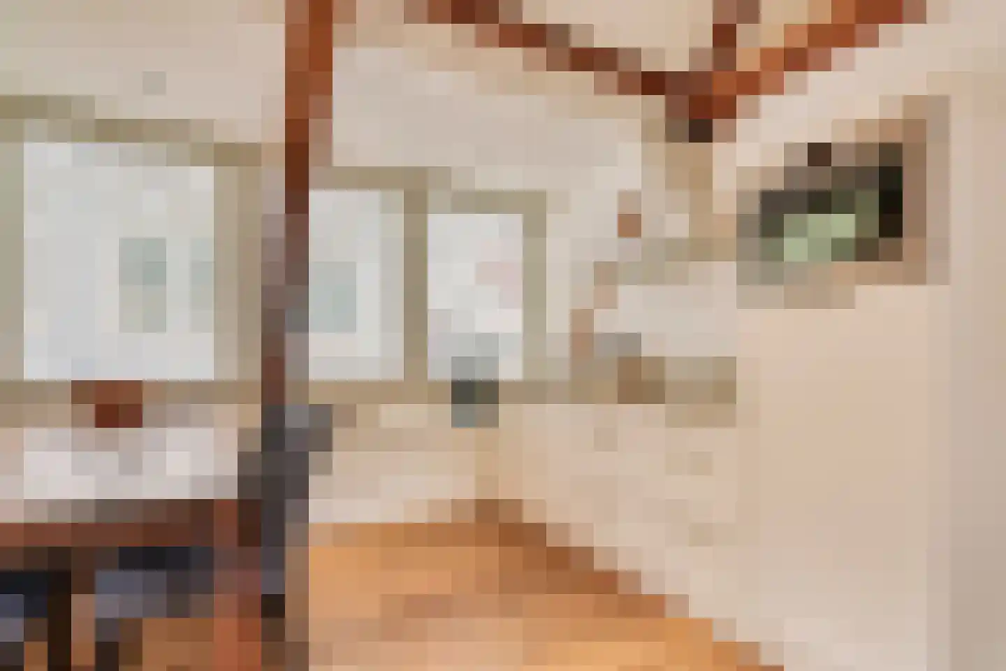 Haringpakkerssteeg 5 M Amsterdam thumbnail 13