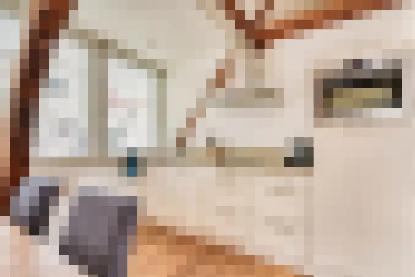 Haringpakkerssteeg 5 M Amsterdam thumbnail 14