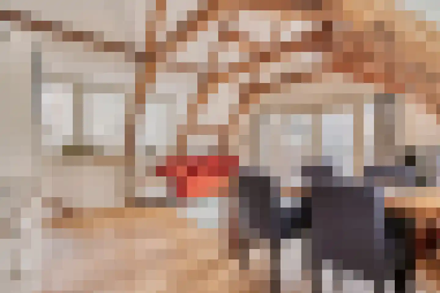 Haringpakkerssteeg 5 M Amsterdam thumbnail 15