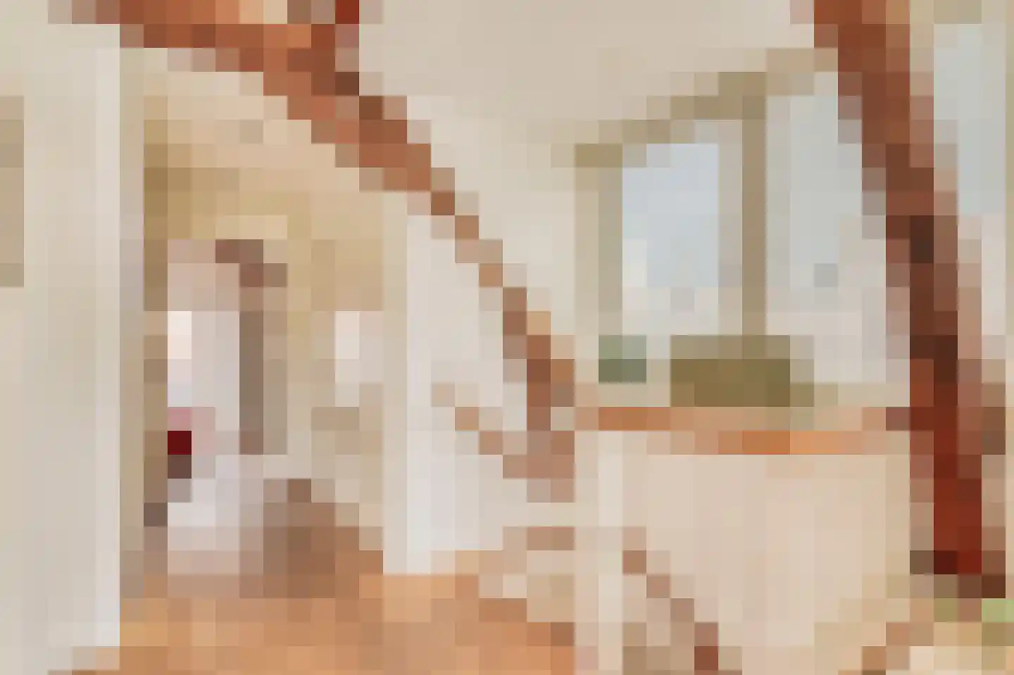 Haringpakkerssteeg 5 M Amsterdam thumbnail 16