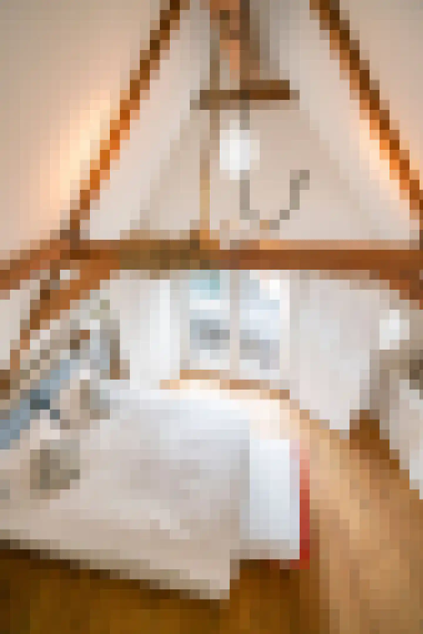 Haringpakkerssteeg 5 M Amsterdam thumbnail 20