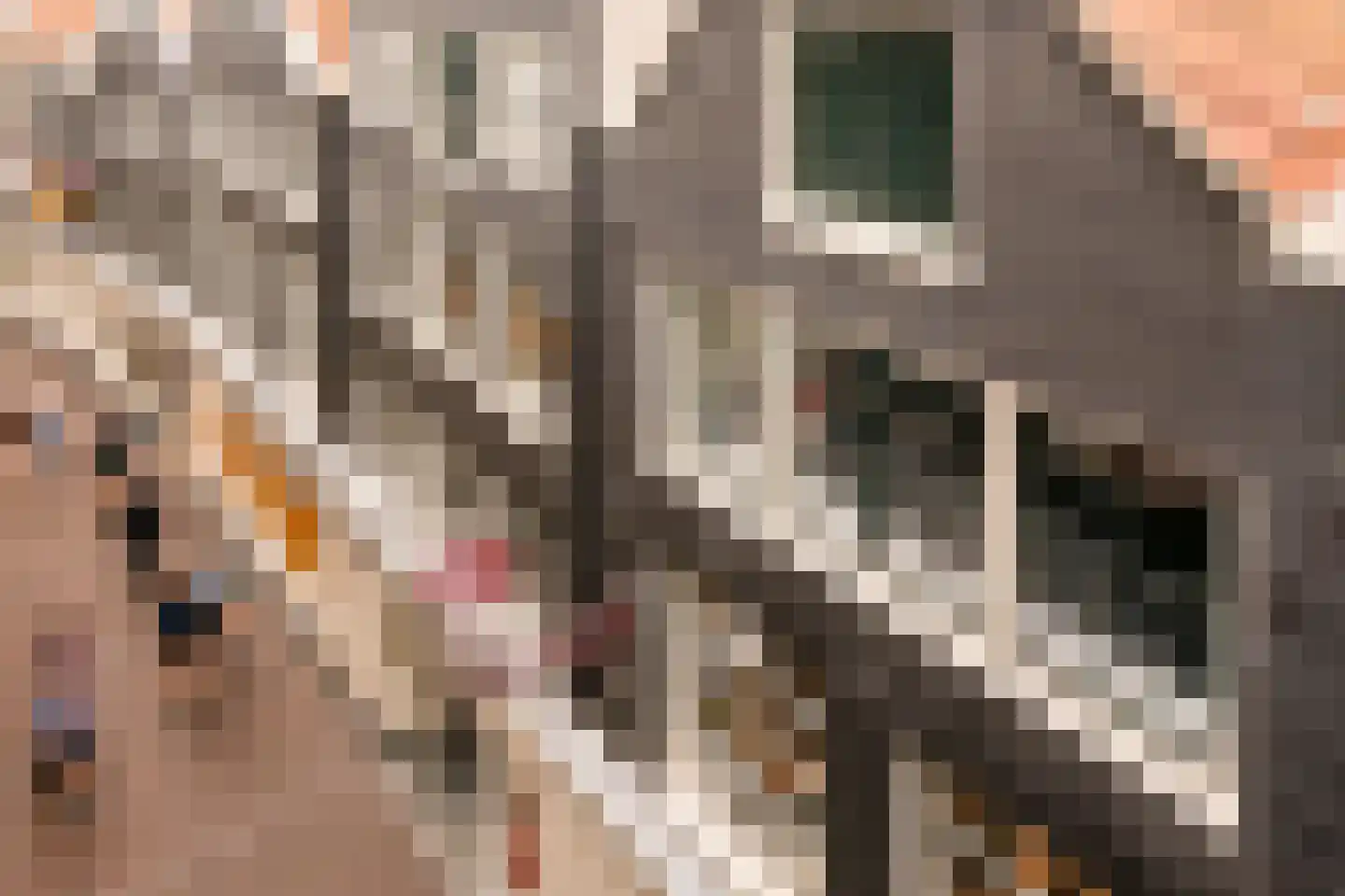 Haringpakkerssteeg 5 M Amsterdam thumbnail 31