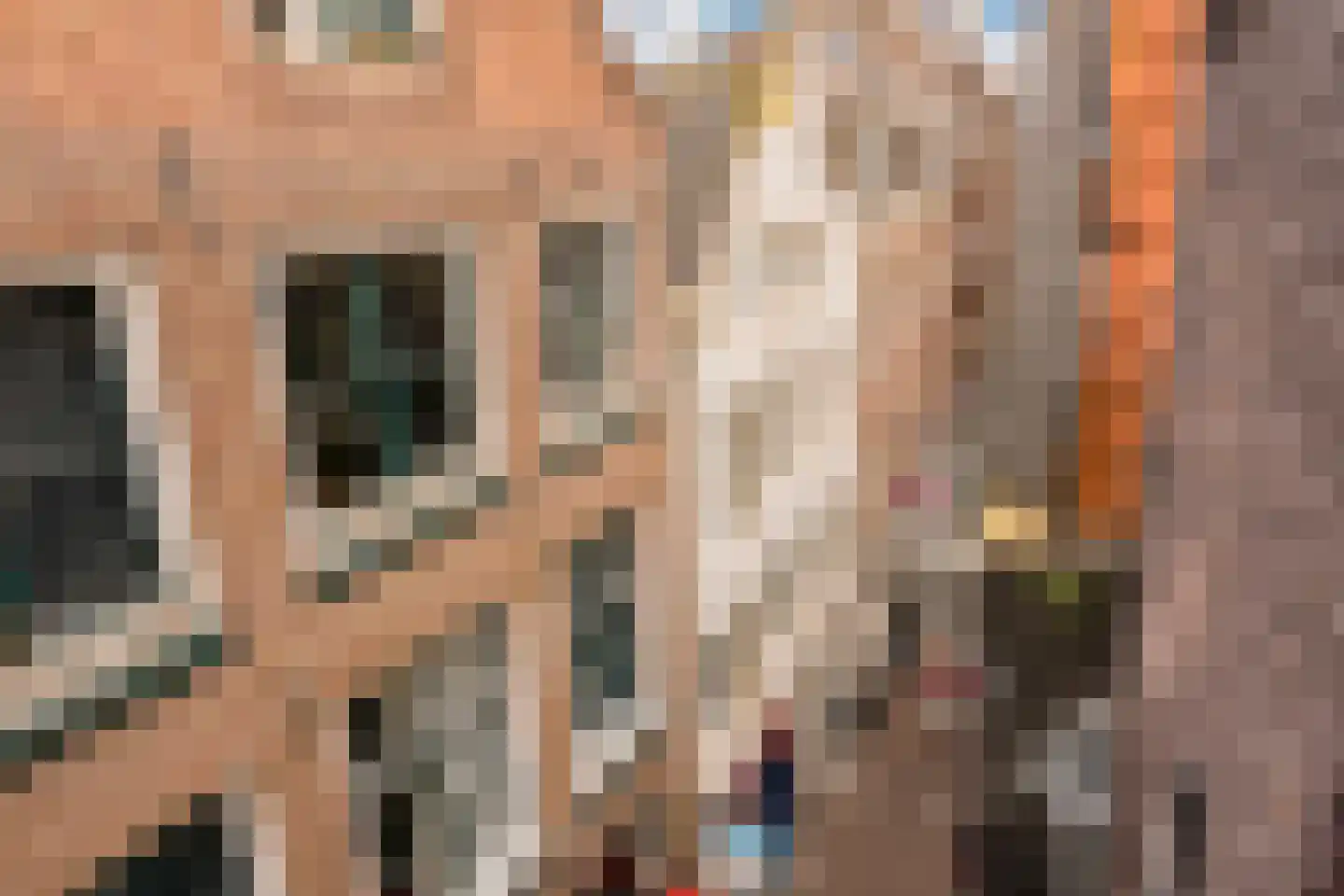 Haringpakkerssteeg 5 M Amsterdam thumbnail 32