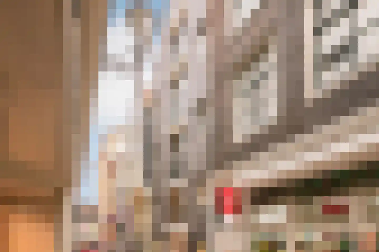 Haringpakkerssteeg 5 M Amsterdam thumbnail 34