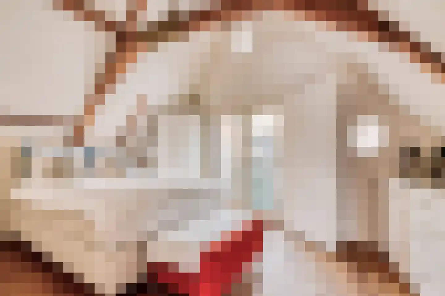 Haringpakkerssteeg 5 M Amsterdam thumbnail 4