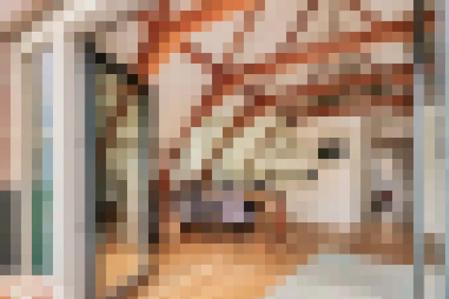 Haringpakkerssteeg 5 M Amsterdam thumbnail 9