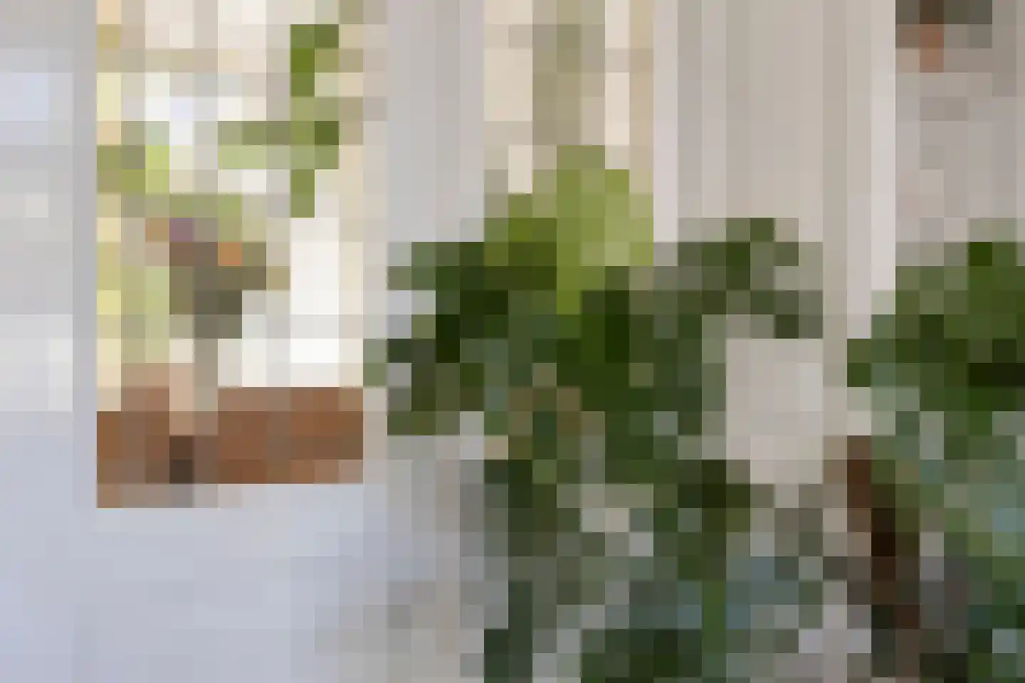 Haringplaats 4 Middelburg thumbnail 11
