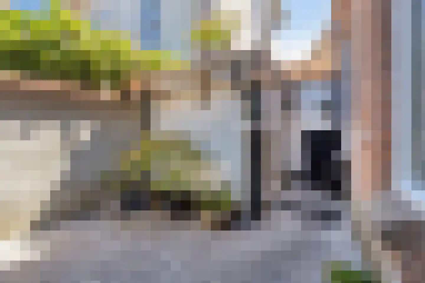Haringplaats 4 Middelburg thumbnail 29