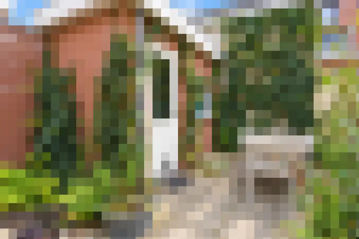 Haringstraat 10 Den Haag thumbnail 24
