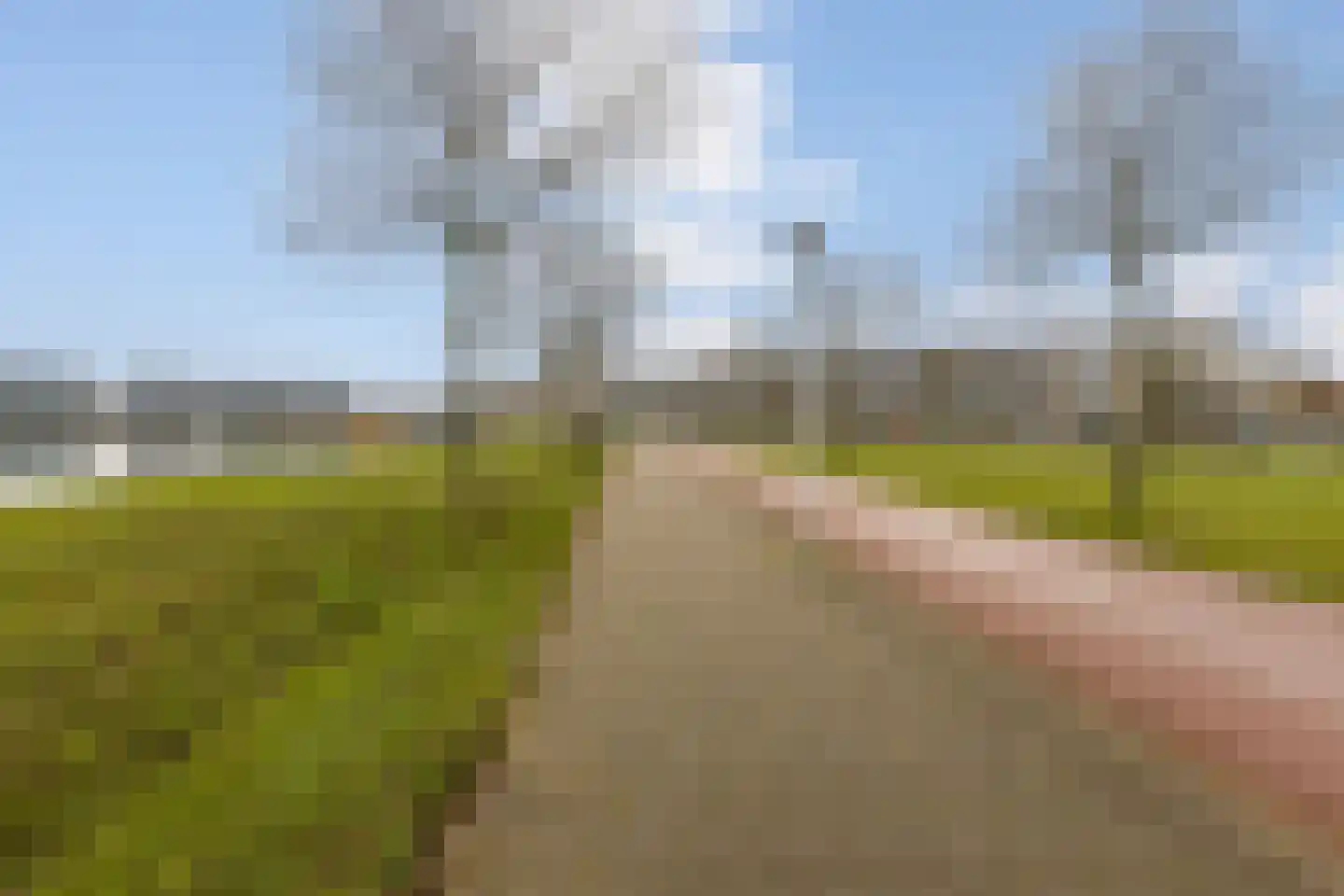 Haringstraat 15 Bergen op Zoom thumbnail 43