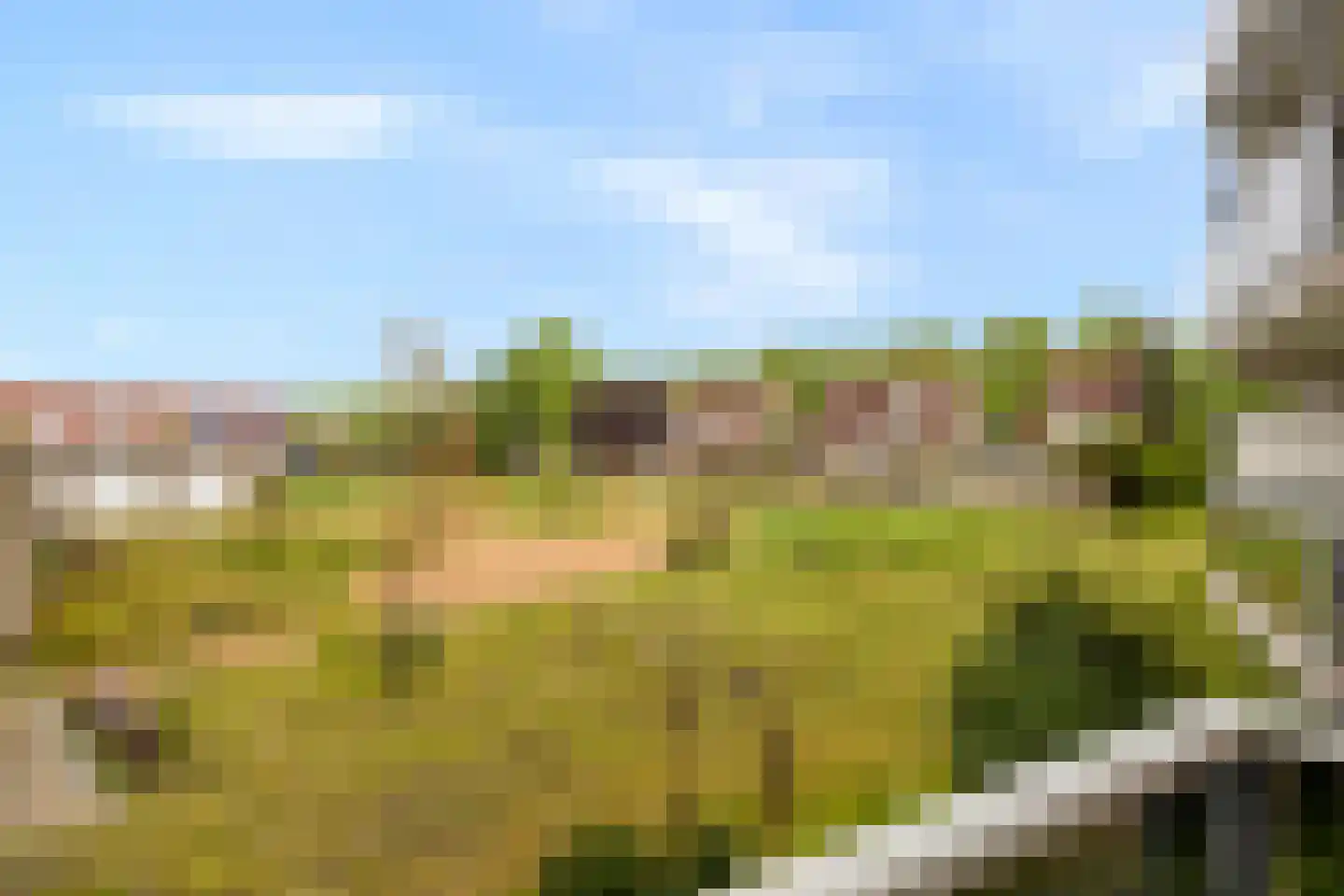 Haringstraat 2 Bergen op Zoom thumbnail 35