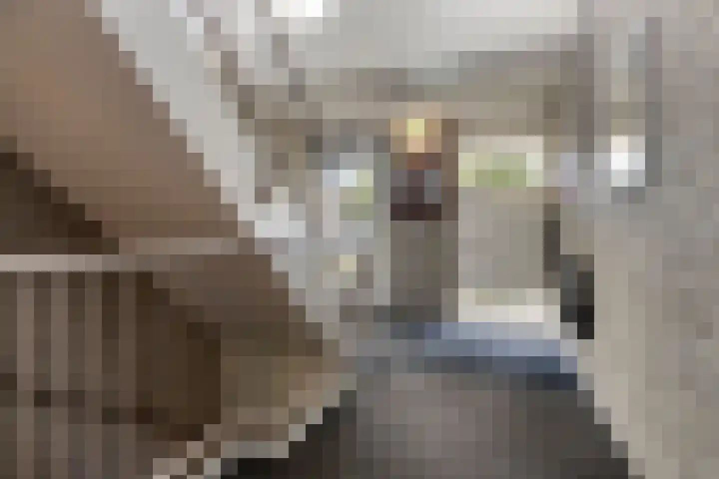 Haringstraat 2 Bergen op Zoom thumbnail 7