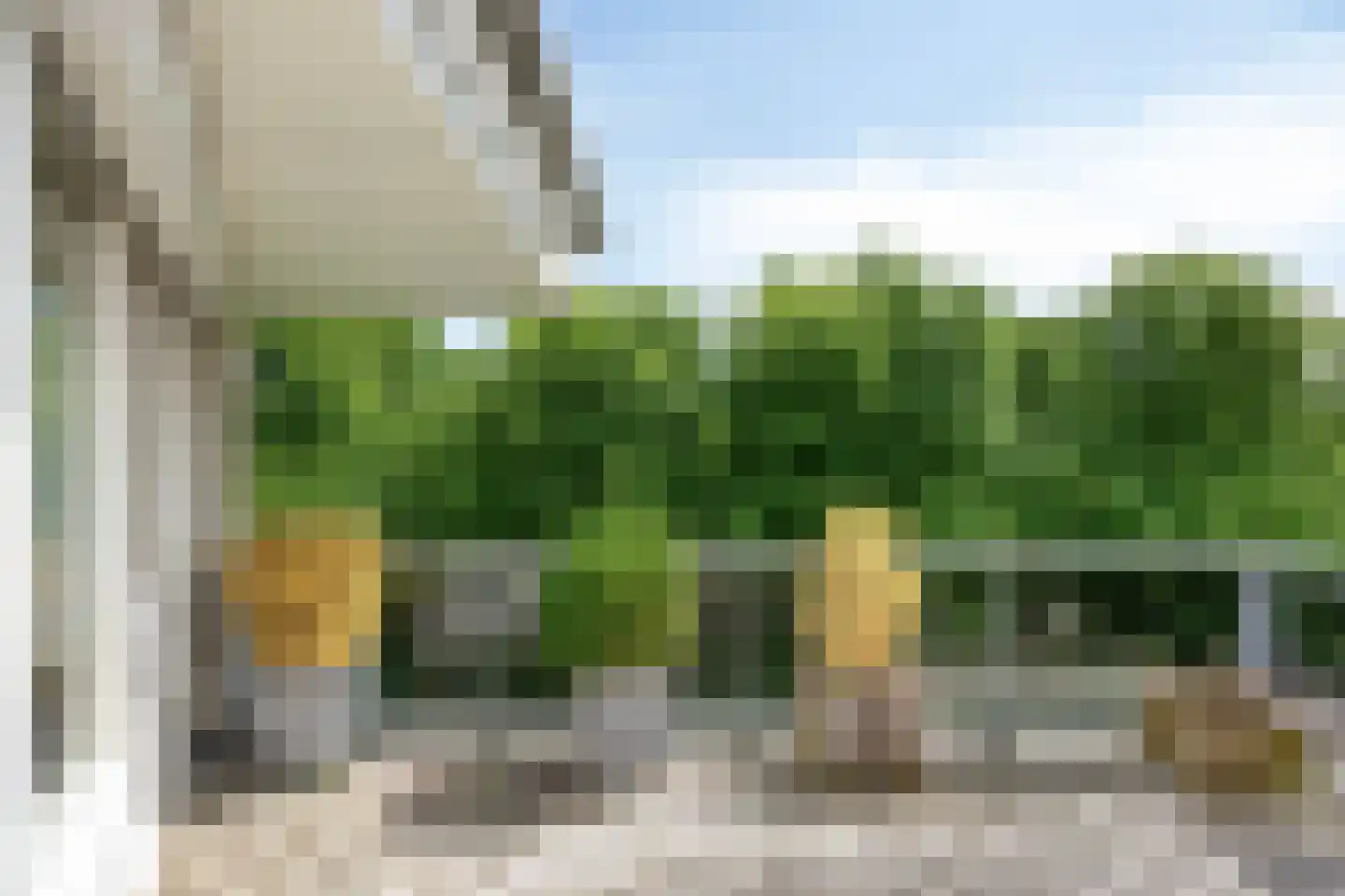 Haringstraat 37 Bergen op Zoom thumbnail 24
