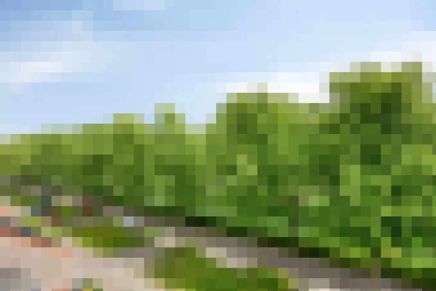 Haringstraat 37 Bergen op Zoom thumbnail 34