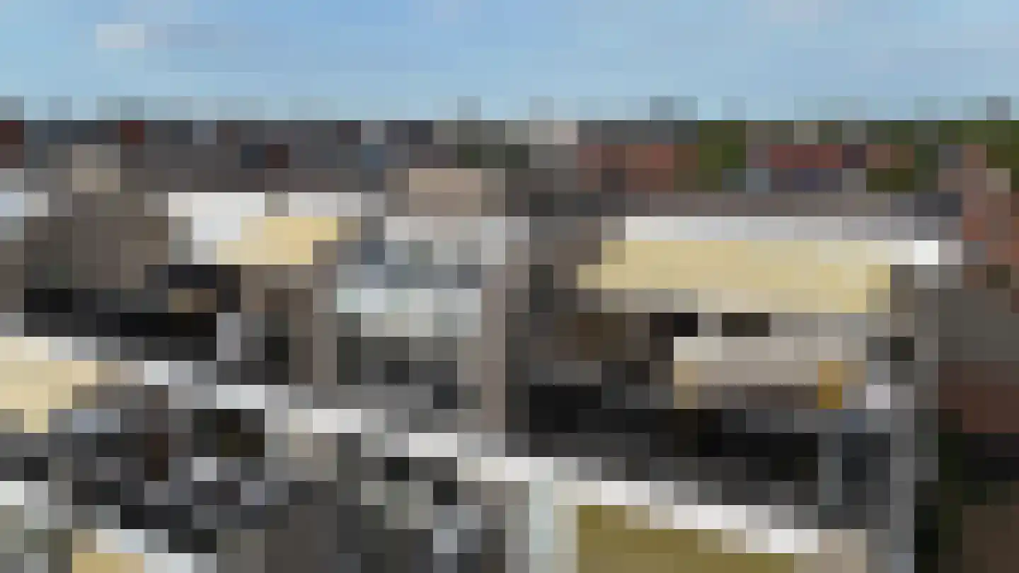 Haringstraat 37 Bergen op Zoom thumbnail 37
