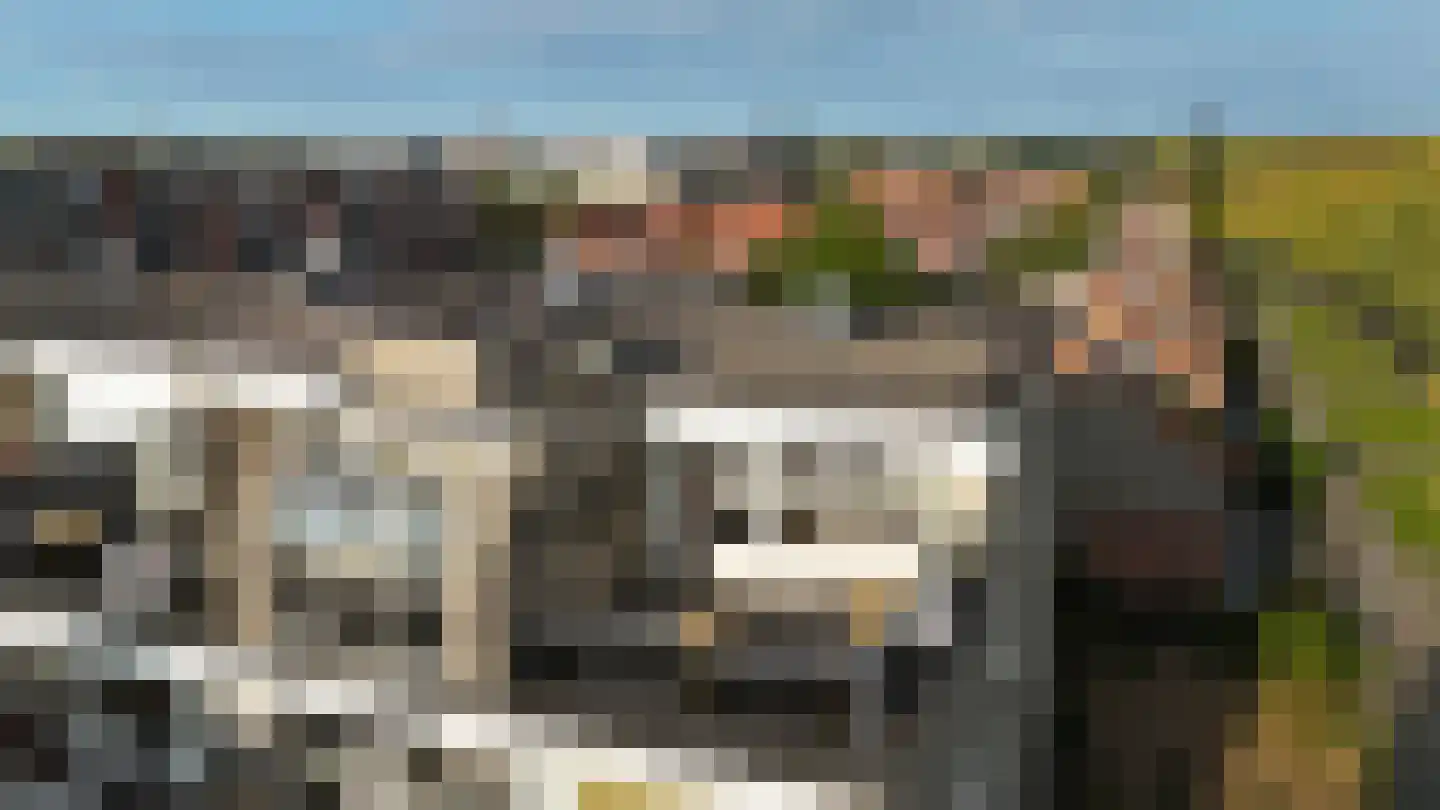 Haringstraat 37 Bergen op Zoom thumbnail 38