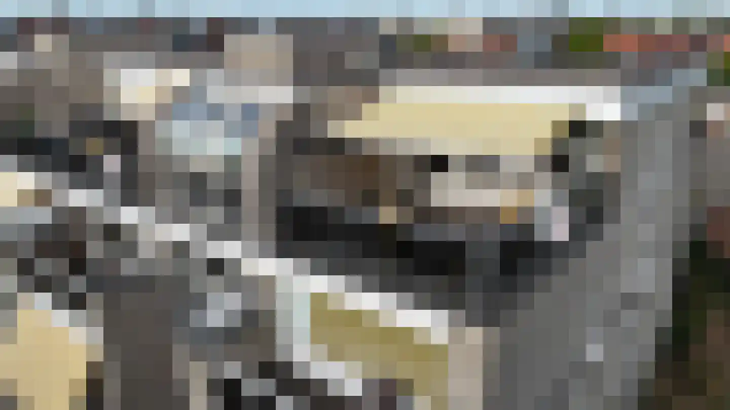 Haringstraat 37 Bergen op Zoom thumbnail 39