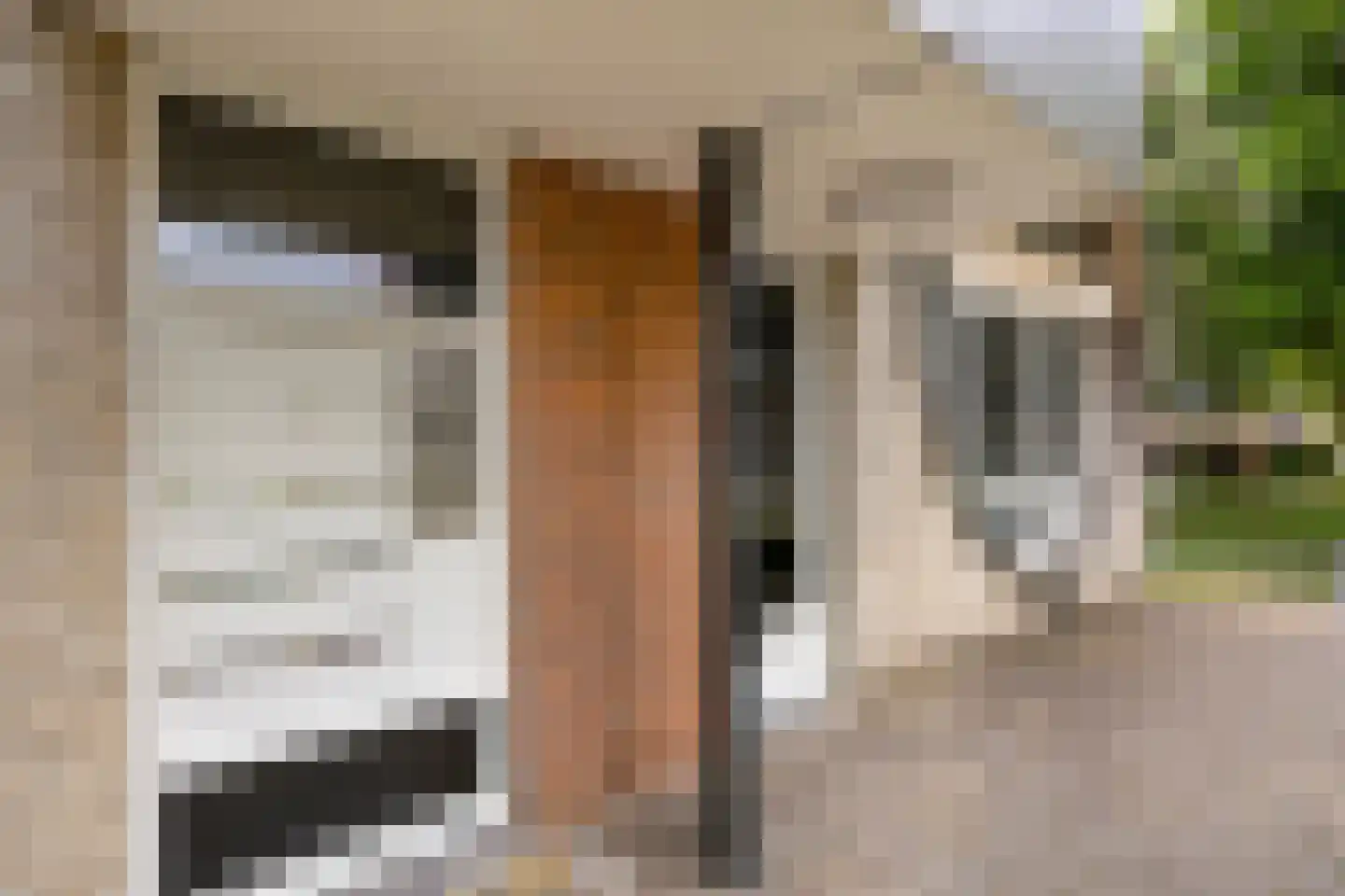 Haringstraat 37 Bergen op Zoom thumbnail 9