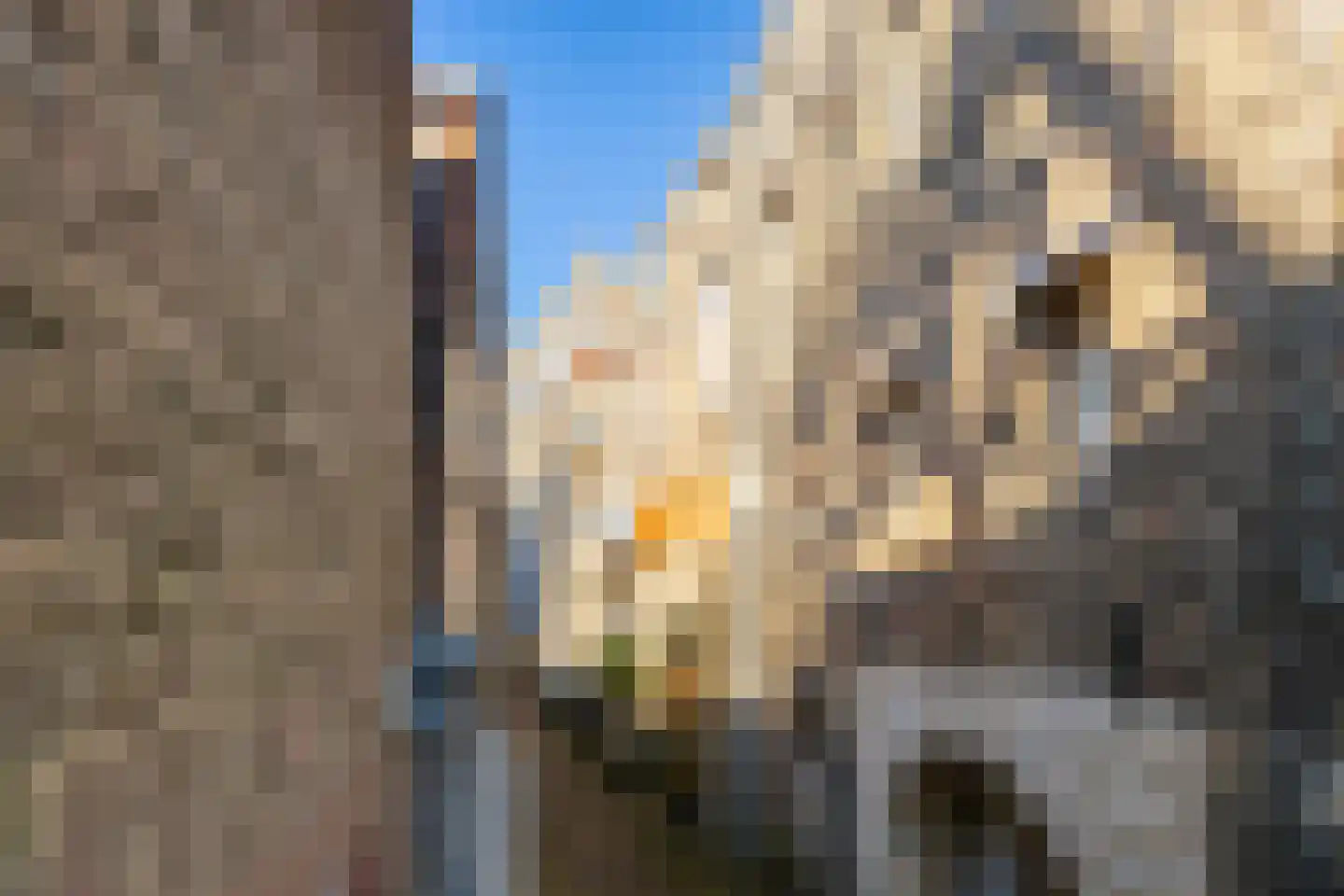Haringstraat 6 Dordrecht thumbnail 15