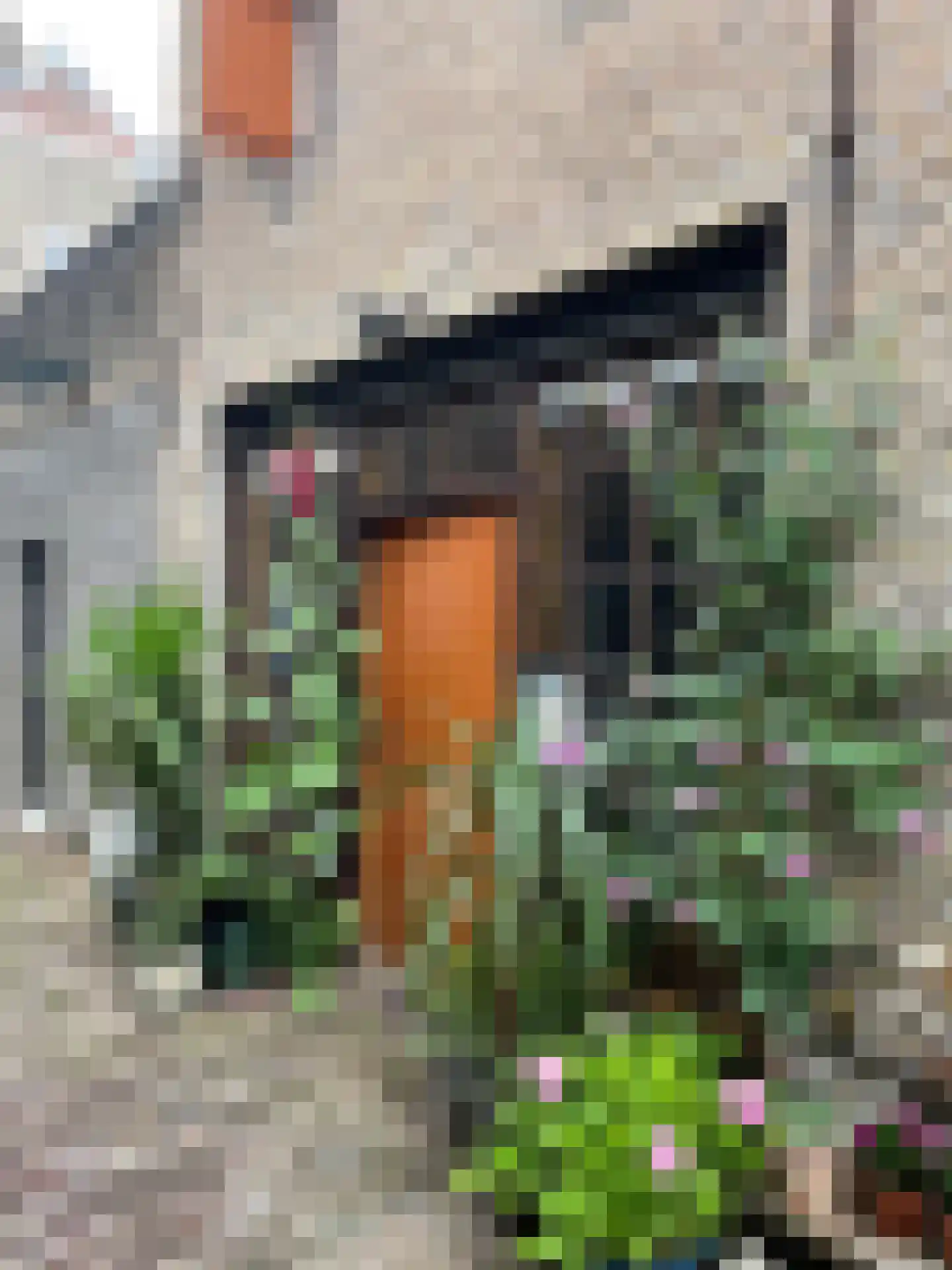 Haringstraat 6 Dordrecht thumbnail 16