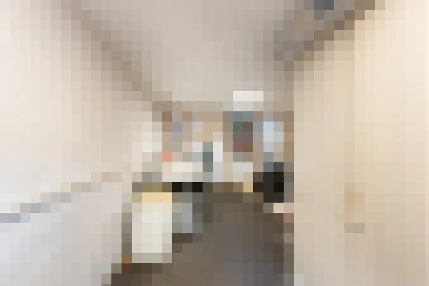 Haringstraat 6 Dordrecht thumbnail 30