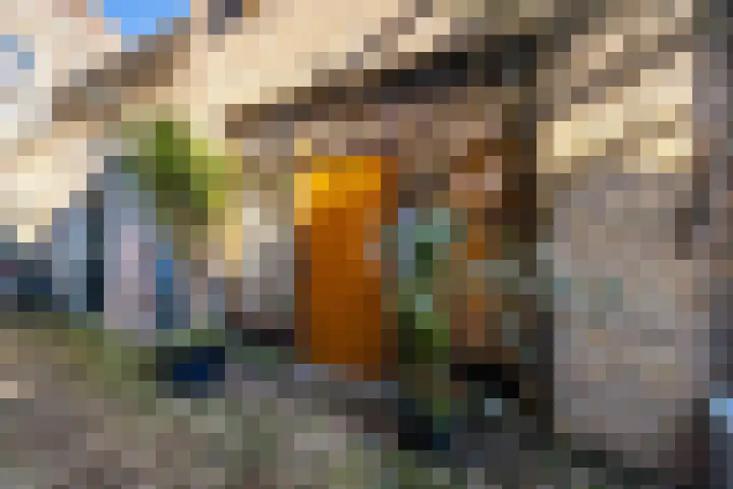 Haringstraat 6 Dordrecht thumbnail 4