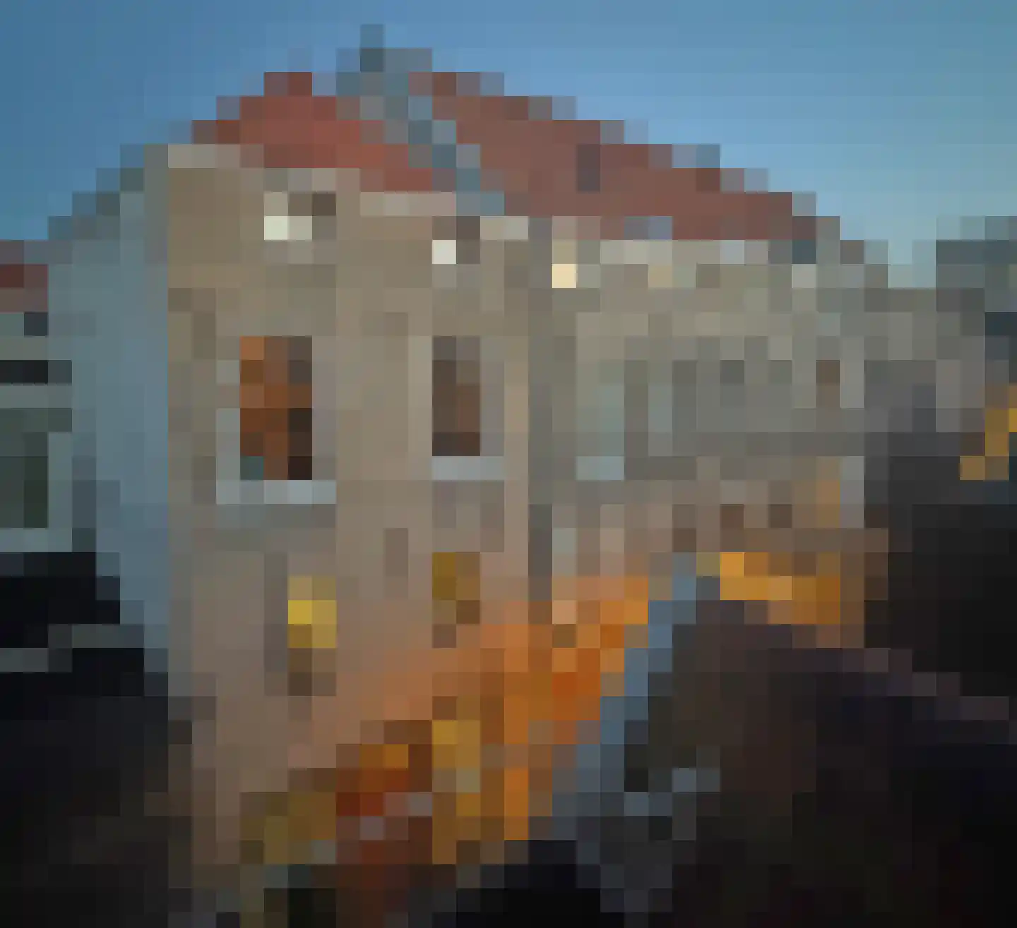 Haringstraat 6 Dordrecht thumbnail 5