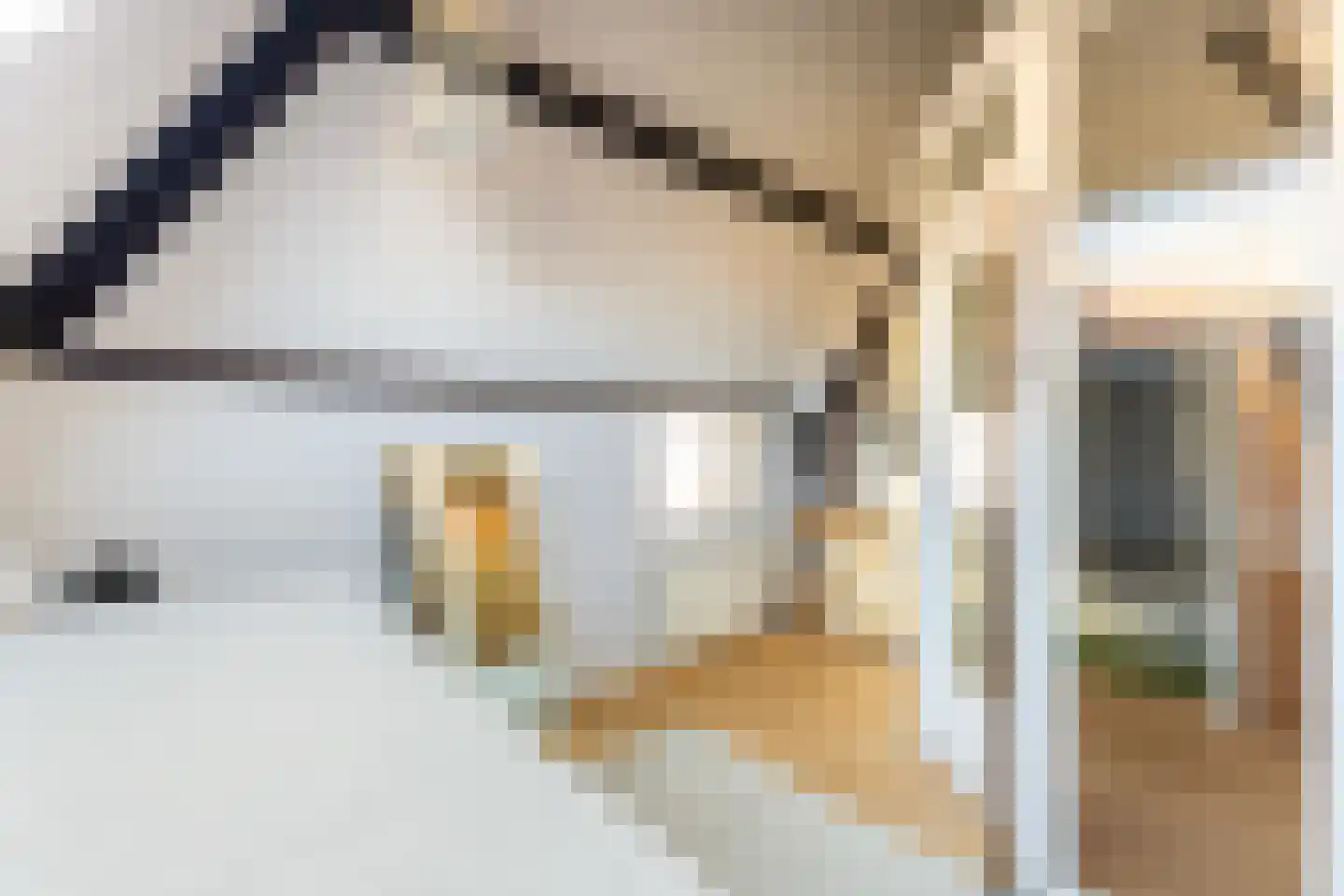 Haringstraat 6 Dordrecht thumbnail 56