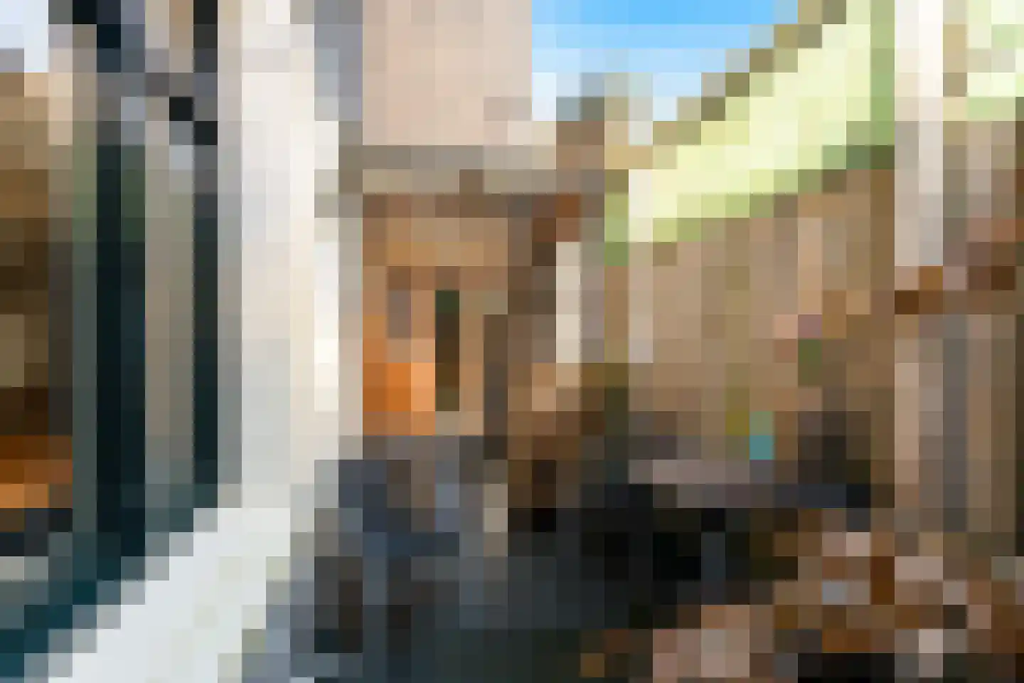 Haringstraat 6 Dordrecht thumbnail 68