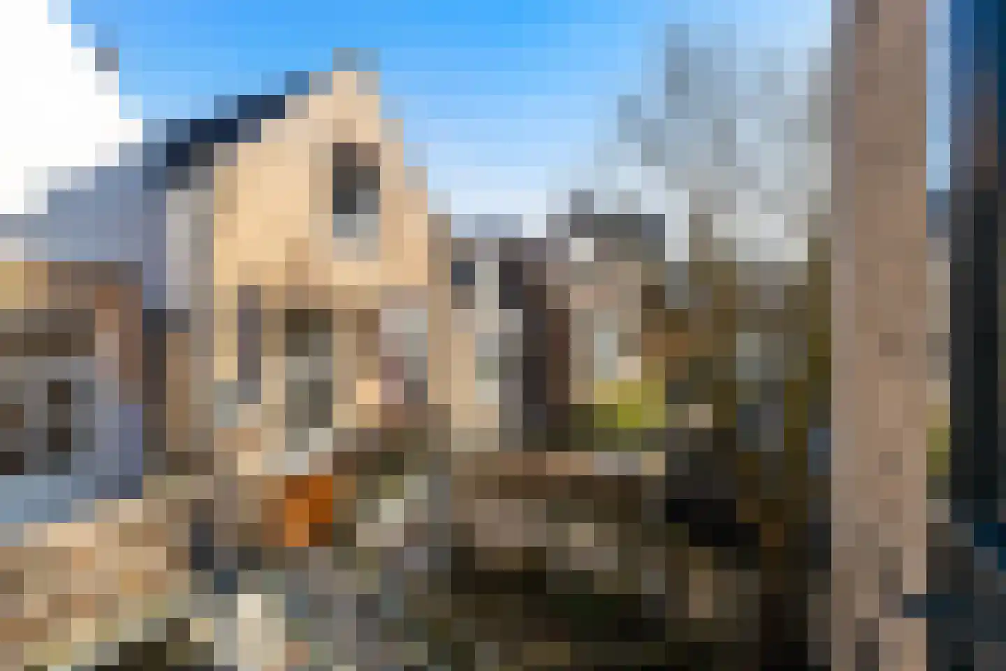Haringstraat 6 Dordrecht thumbnail 70
