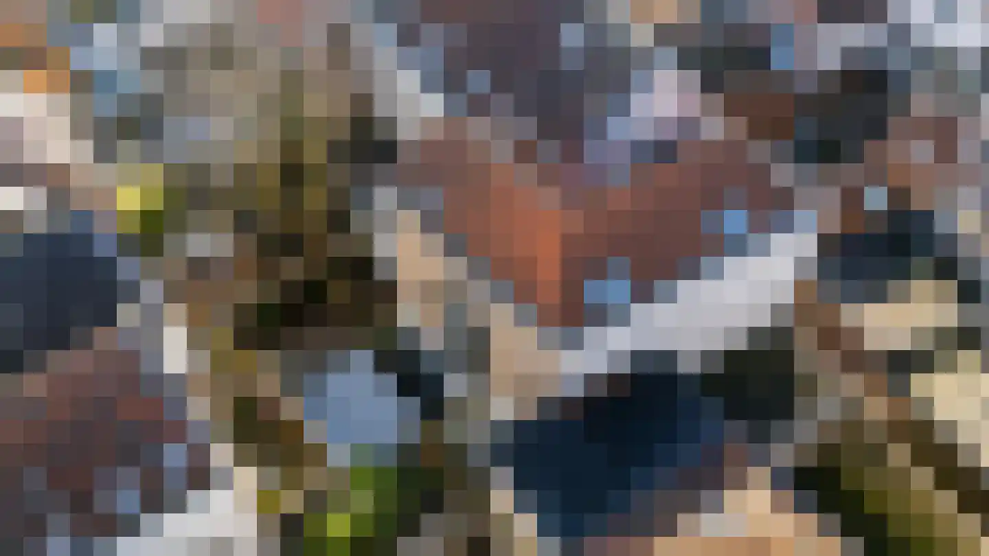 Haringstraat 6 Dordrecht thumbnail 9