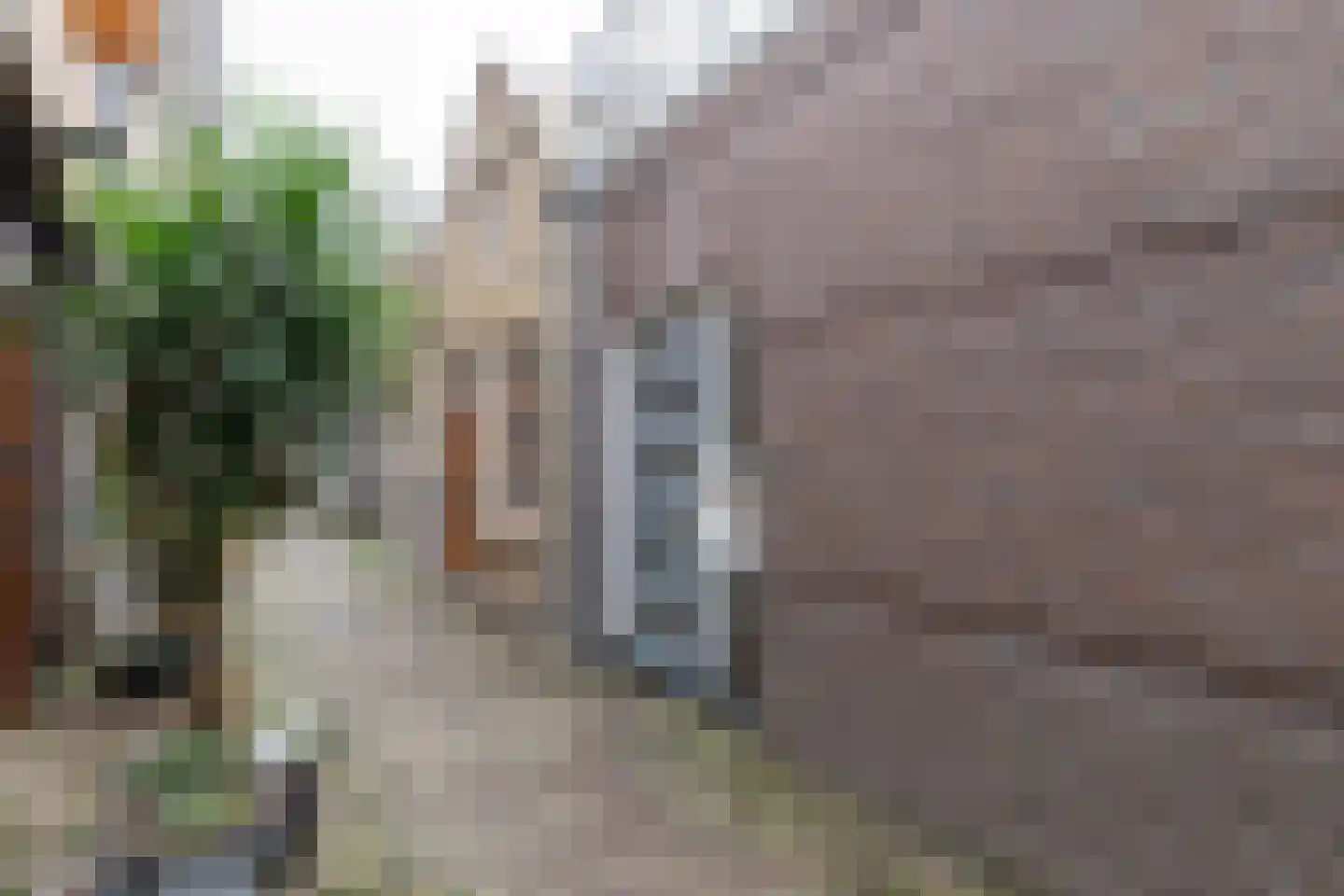 Haringstraat 9 A Dordrecht thumbnail 5