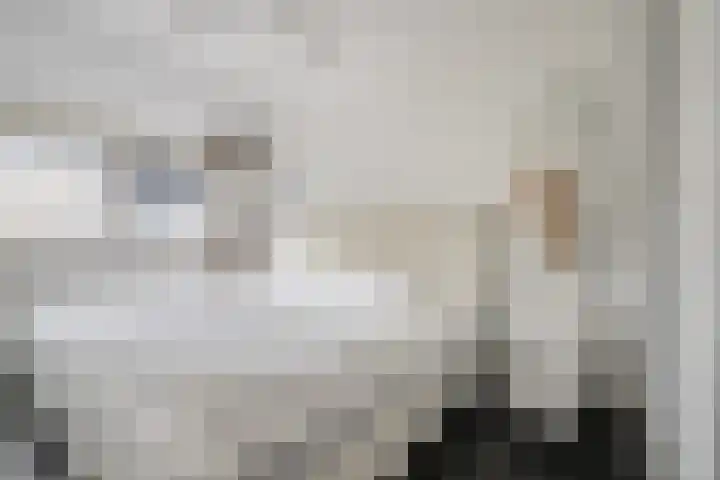 Haringvliet 10 Terneuzen thumbnail 11