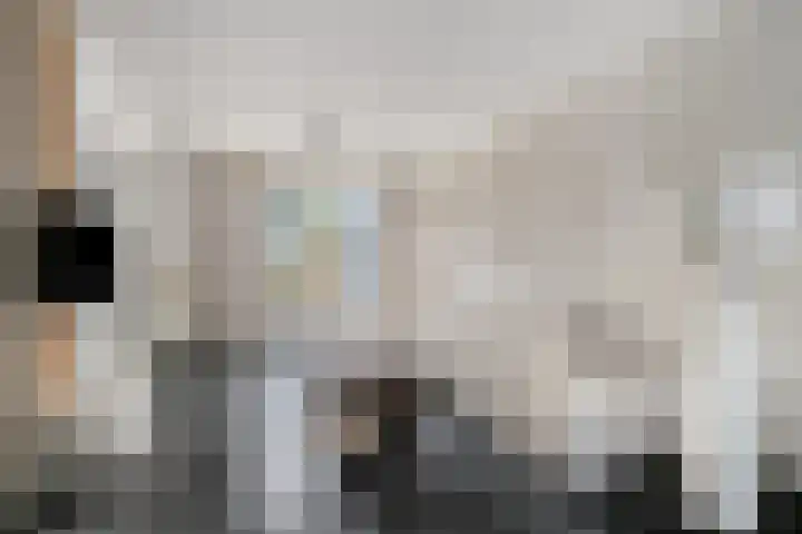Haringvliet 10 Terneuzen thumbnail 4