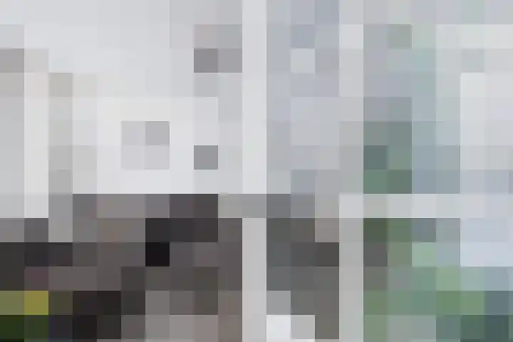 Haringvliet 20 Terneuzen thumbnail 12