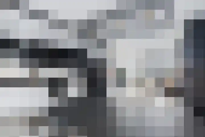 Haringvliet 20 Terneuzen thumbnail 21