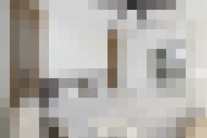 Haringvliet 20 Terneuzen thumbnail 28