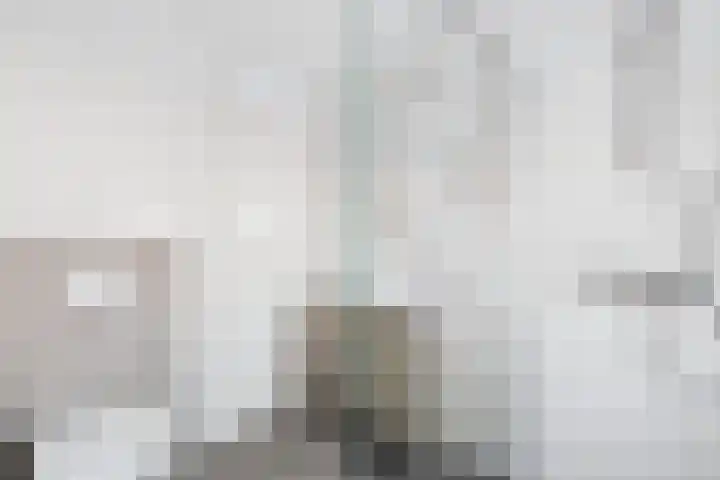 Haringvliet 20 Terneuzen thumbnail 34