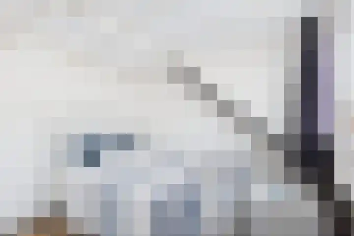 Haringvliet 20 Terneuzen thumbnail 38