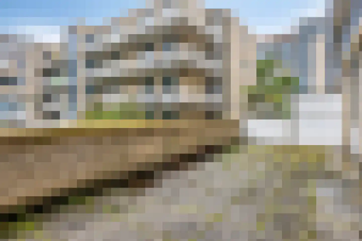 Haringvliet 305 Rotterdam thumbnail 18
