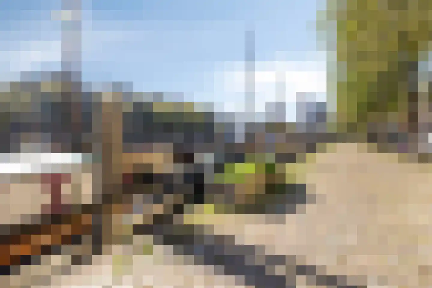 Haringvliet 305 Rotterdam thumbnail 34