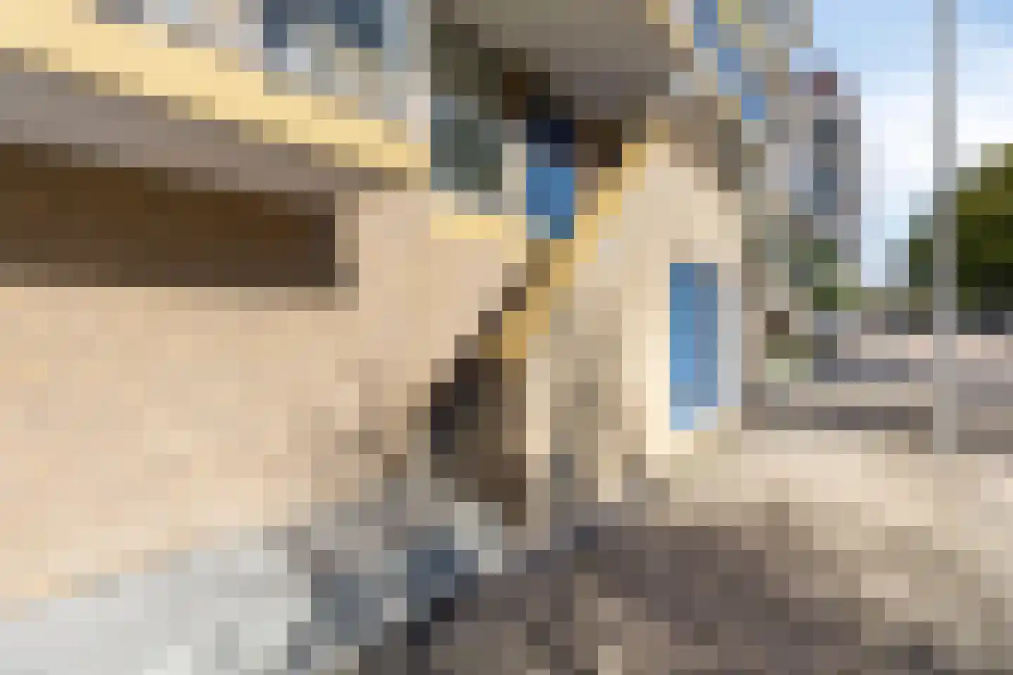 Haringvliet 305 Rotterdam thumbnail 8